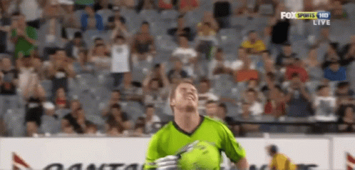 Davidwarner Kingwarnerr GIF