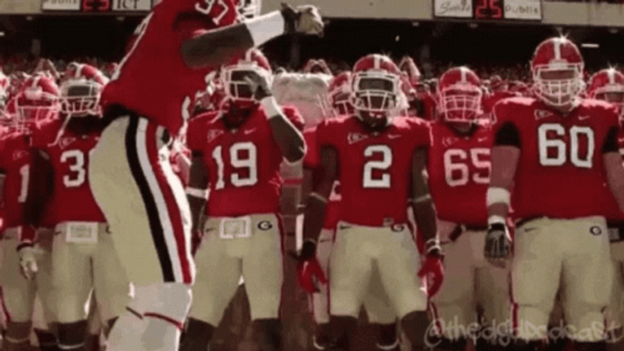 Dawgs Georgia Bulldogs Football Team GIF