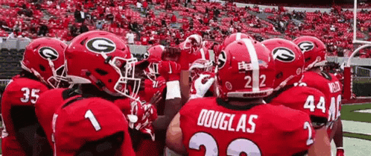 Dawgs Georgia Bulldogs Football Team Huddling GIF