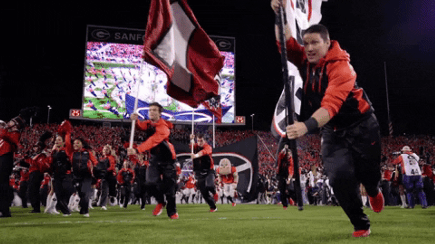 Dawgs Georgia Bulldogs Football Team Running Into Field GIF