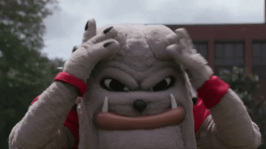 Dawgs Georgia Bulldogs Mascot Jumping GIF