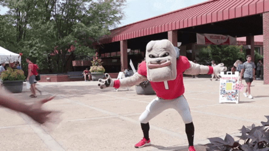 Dawgs Mascot Giving High Fives GIF