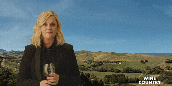 Day Drinking Amy Poehler Wine Country GIF