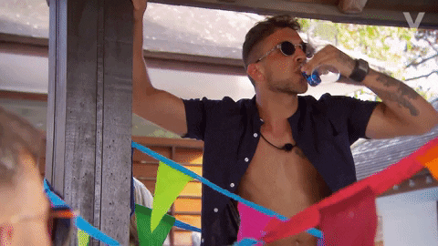 Day Drinking Big Brother Reality Show GIF