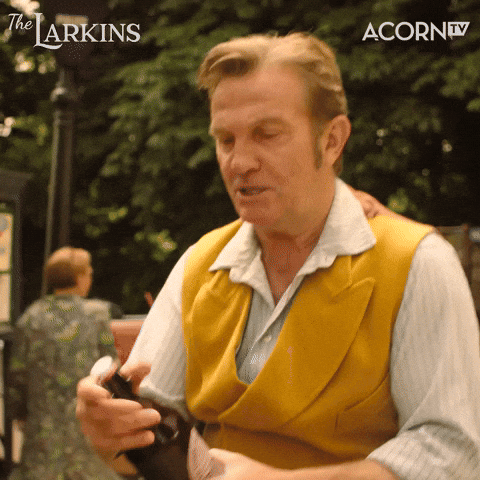 Day Drinking The Larkins Tv Series GIF