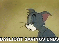 Daylight Savings Ends Tom Cat GIF