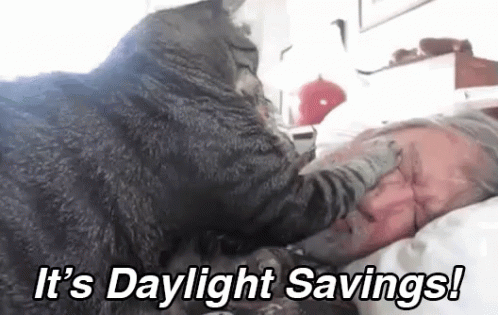 Daylight Savings Old Man Cat GIF