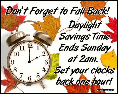 Daylight Savings Time Ends Fall Back Gif GIF