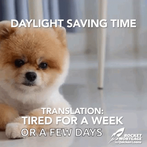 Daylight Savings Tired Sleepy Dog GIF