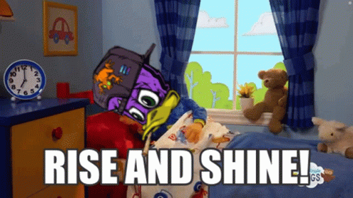 Dazed Ducks Having Hilarious Wednesday GIF