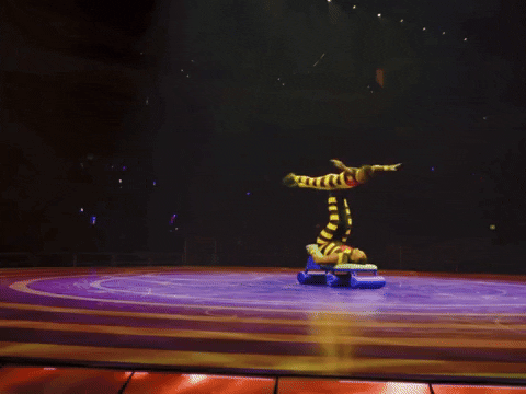 Dazzling Ringling Bros Body Spin Circus Stunt GIF