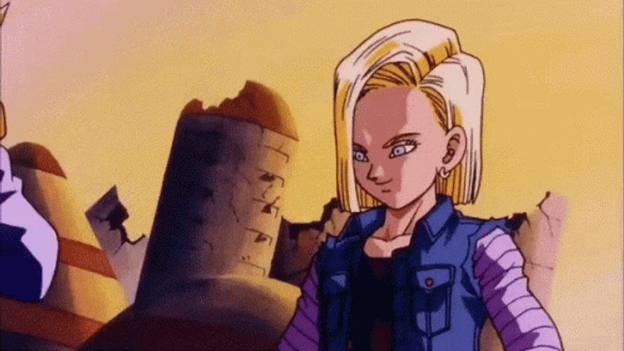 Dbz Android 18 Punch GIF