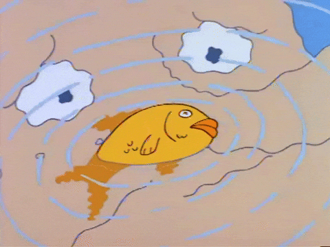 Dead Goldfish With Reflection Of Cartoon Character GIF