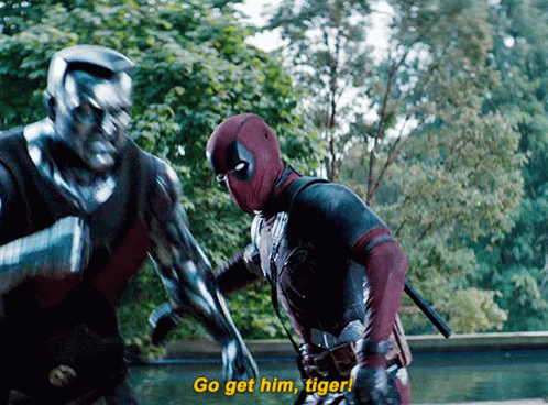 Dead Pool Go Get Em Tiger GIF
