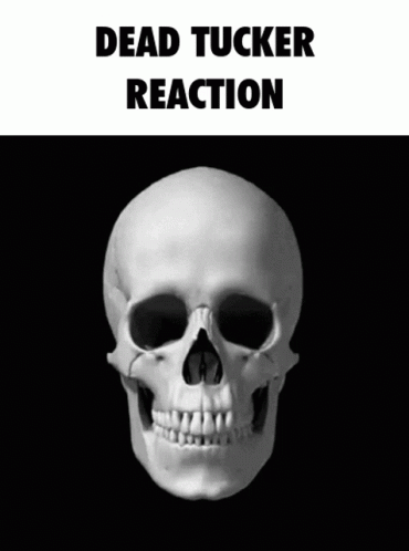 Dead Tucker Carlson Reaction Skull GIF