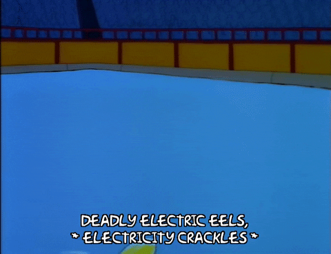 Deadly Electric Eels Electricity Crackles GIF