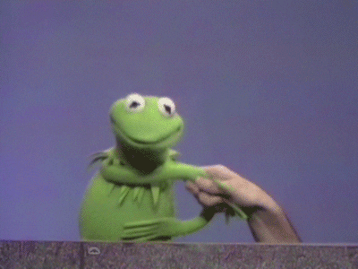 Kermit The Frog Deal GIF