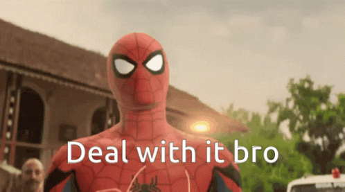 Spiderman Deal With It Bro GIF