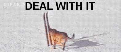 Deal With It Dog Ski Snow GIF