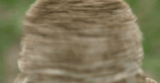 Deal With It Owl Spin GIF