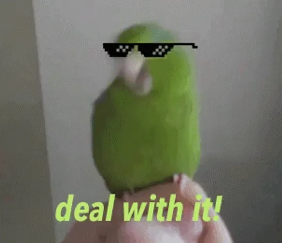 Deal With It