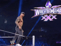Deal With It Wwe Wrestling Battleground GIF