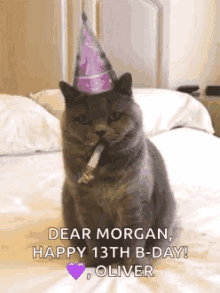 Dear Morgan Happy 13th Birthday Cat Blowing GIF