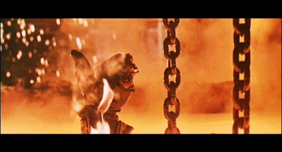 Terminator 2 gif of Arnold giving the thumbs up as he drops into molten steel