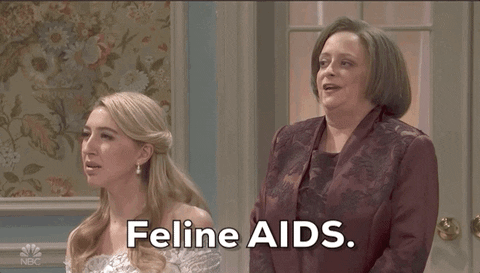 Debbie Downer Feline Aids GIF