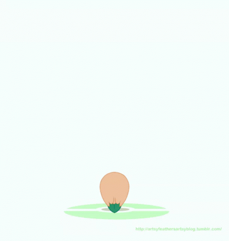 Decidueye Pokemon Evolution GIF