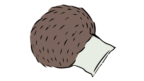 Deep Sleep Cute Black Hedgehog GIF