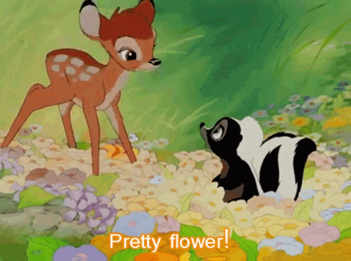 Deer and Skunk in Flowers Saying Pretty Flower