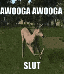 Deer Doing Awooga Gangnam Dance GIF