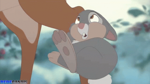 Deer Holding Cartoon Rabbit Redecanals