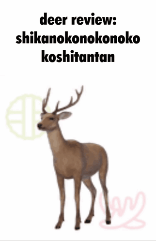 Deer Review GIF