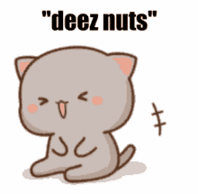 Deez Nuts Goma Cat Laugh GIF