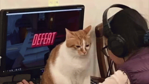 Defeated Ginger Cat Motionless GIF