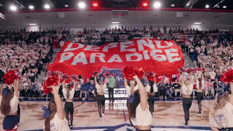 Defend Paradise Banner GIF