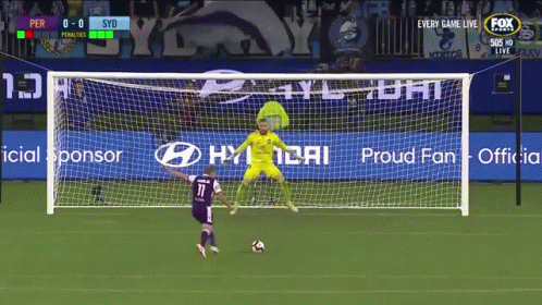 Defended Penalty Kicks GIF