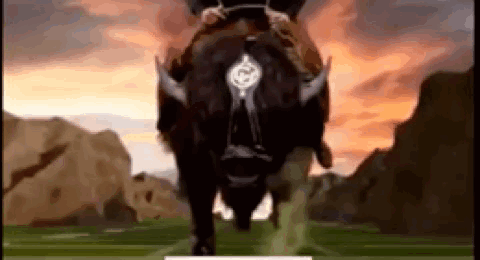 Deion Sanders Cowboy Bull GIF