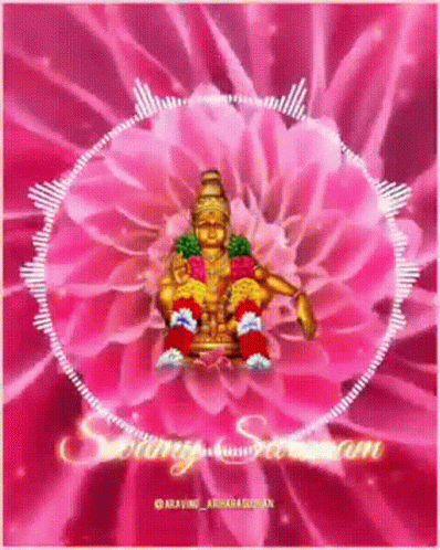Deity Sitting on Pink Flower Amid Pink Flowers