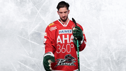 Del Augsburger Panther Ice Hockey Fake Shake Hand GIF