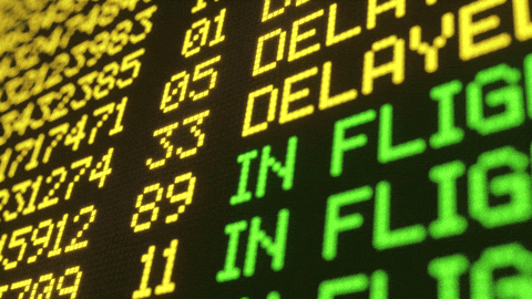 Delaty Flight Screen Loop GIF