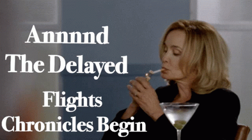 Delay Flight Chronicles GIF