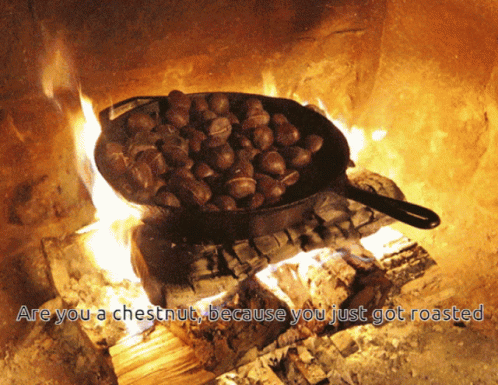 Delectable Roasted Chestnuts On Fire Pit GIF