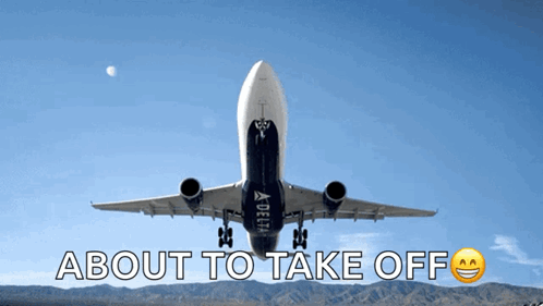 Delta Airlines Plane Taking Off GIF