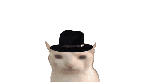 Deltarune Explosion Cat Wearing A Hat GIF
