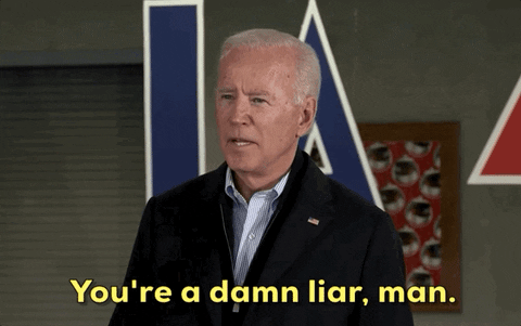 Democrat President Joe Biden Damn Liar GIF
