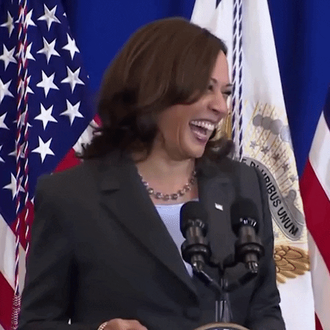 Democrat Vice President Kamala Harris Pleased GIF