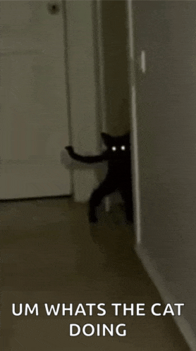 Demon Cat Meme GIF